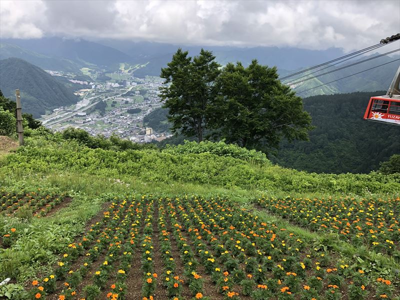 湯沢町版DMO設立支援業務