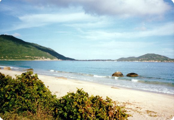 写真4　牙龍湾の海岸