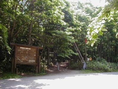 <写真>野幌森林公園