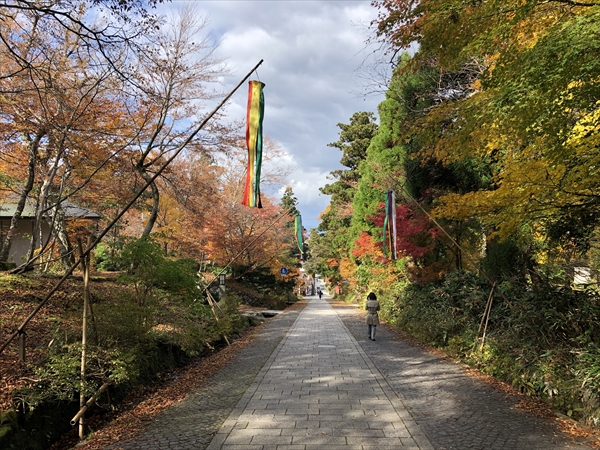 令和3年度大山隠岐国立公園満喫プロジェクト地域協議会運営等業務