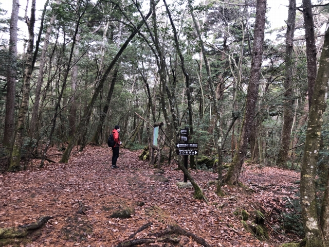 令和3年度富士箱根伊豆国立公園満喫プロジェクト推進業務