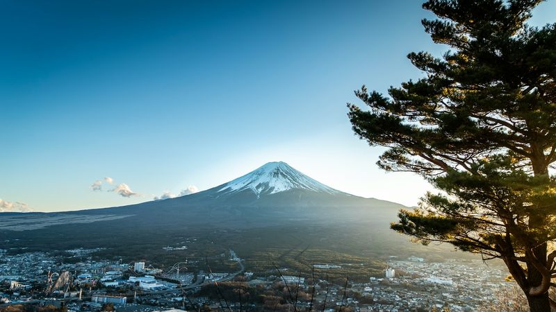 令和4年度富士箱根伊豆国立公園富士山麓地域適正利用推進体制検討業務