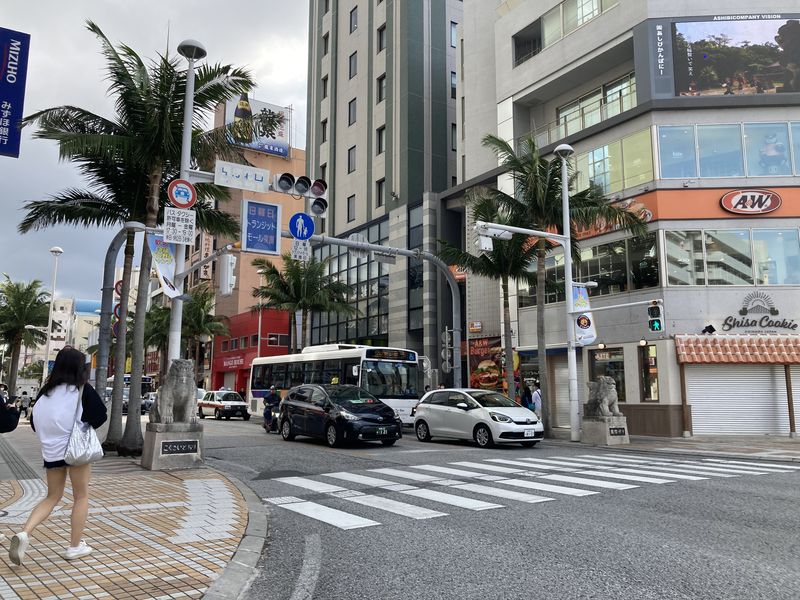 「日本人の沖縄旅行に関する調査 (2023年版)」に関する調査業務