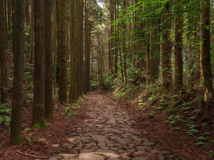 令和4年度将来にわたって旅行者を惹きつける地域・日本の新たなレガシー形成事業『日本遺産「箱根八里」の価値を高める箱根町の新たなレガシー形成に係る調査事業』
