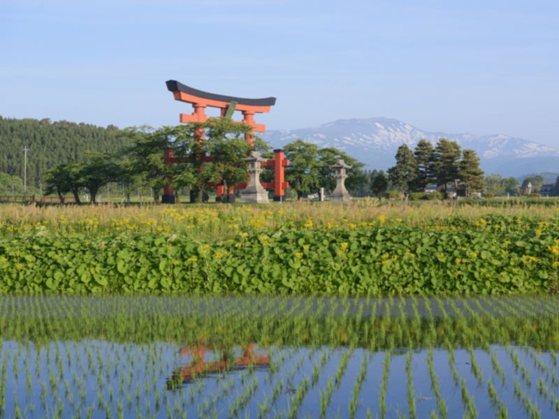 山形県における高付加価値なインバウンド観光地づくりマスタープラン策定等業務（2024年度）
