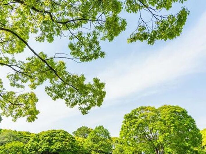 がん治療中の旅行がQOL向上に与える影響：実証的研究