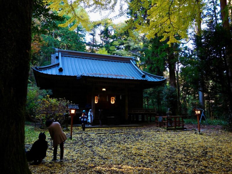歴史文化遺産の保存と活用に関する研究