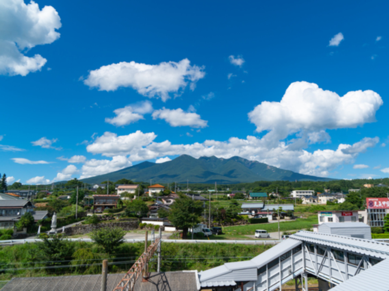 小淵沢エリア振興ビジョン策定等業務(2024年度)