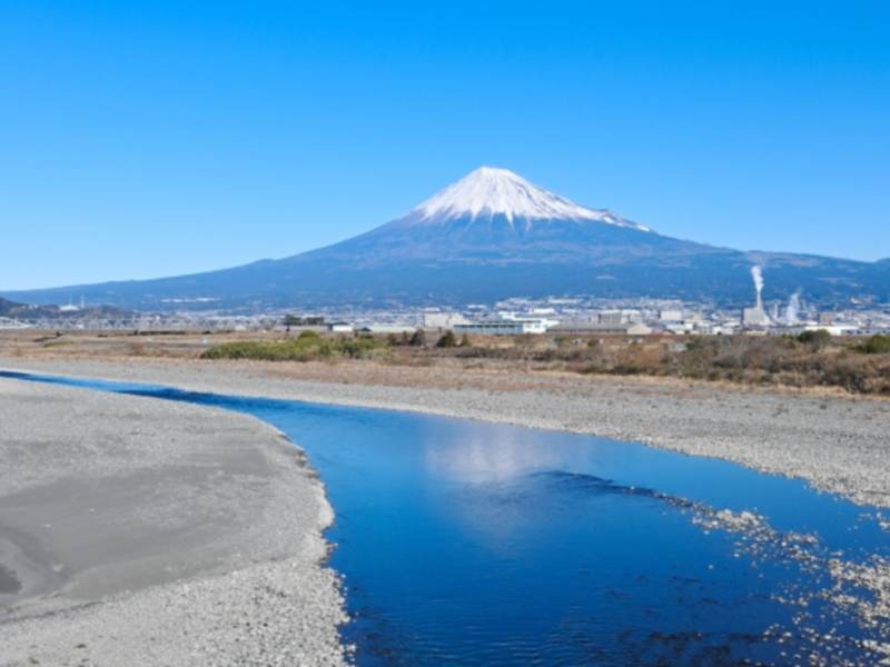 峡南地域観光振興会議推進業務（2024年度）