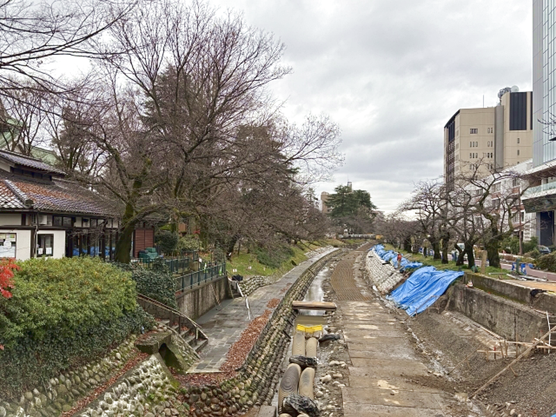 大規模災害後の観光振興の取り組みにおけるガバナンスのあり方に関する研究（2025年度）