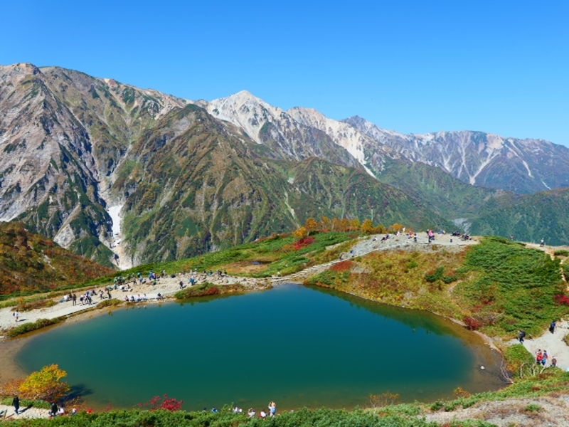 令和7年度白馬村観光地経営ビジョン策定支援業務（2025年度）