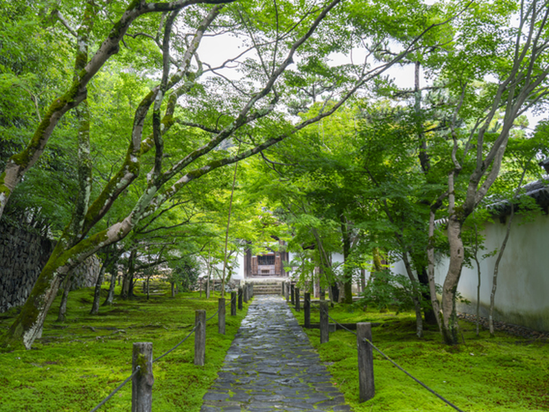 京都市観光協会次期中期経営指針（仮）策定支援業務（2025年度）