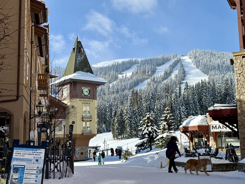 マウンテンリゾートの国際化に関する研究（2025年度）