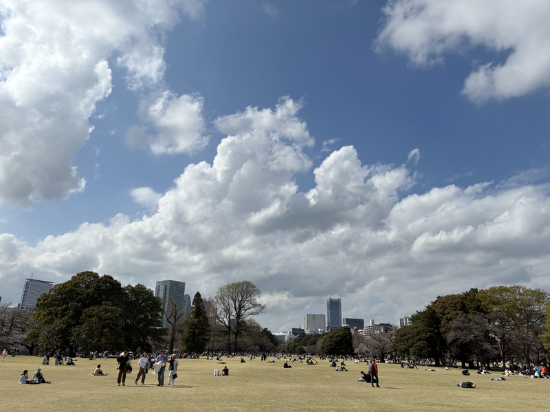旅行者調査（2025年度）