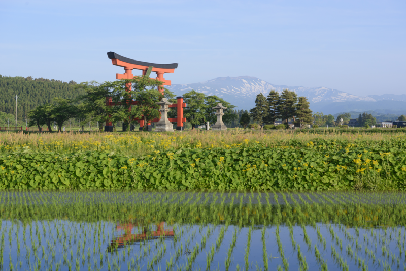 山形県における高付加価値なインバウンド観光地づくりマスタープラン策定等業務（2024年度）