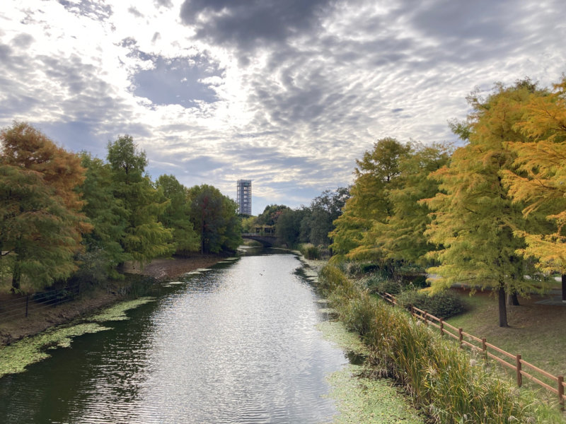 日本の国内旅行市場のいま　[コラムvol.535]