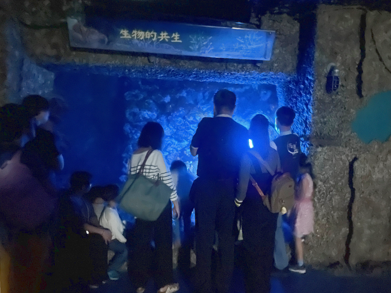 研究員コラム