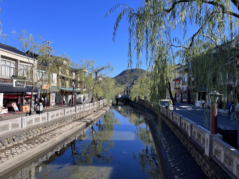 豊岡市観光自主財源検討支援業務（2025年度）