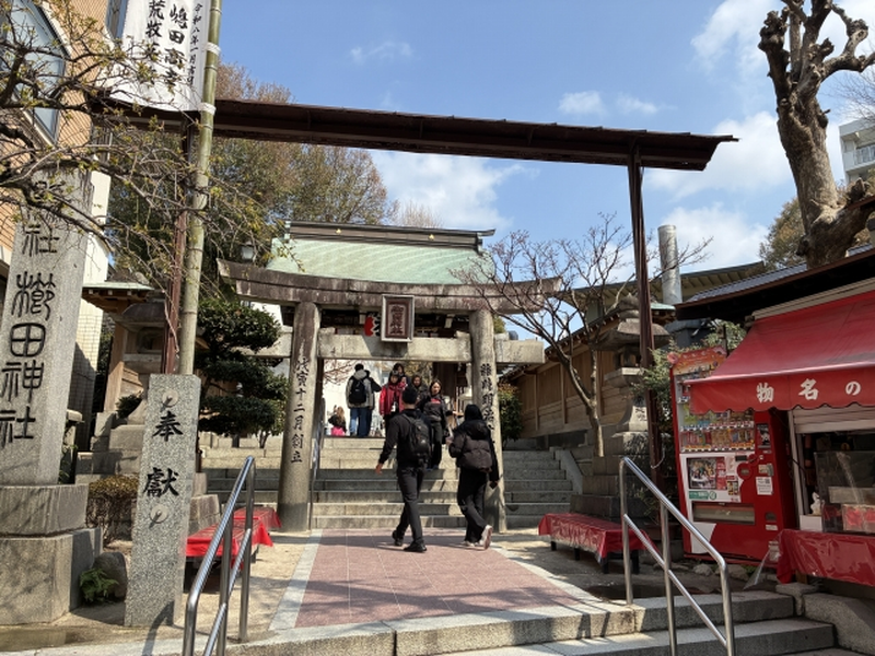 旅行者調査（2026年度）