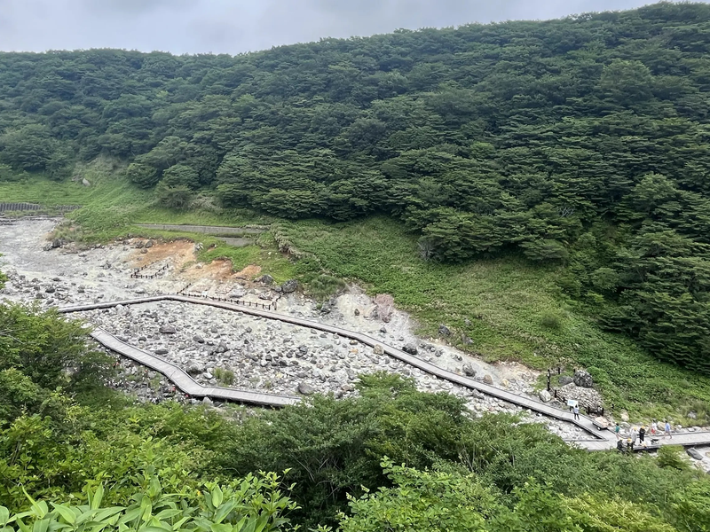 観光地における地域一体型福利厚生制度が人材の確保・定着に及ぼす影響に関する研究 ―「那須ワークコミュニティ」を事例として―（2026年度）